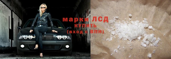 прущие грибы Каменка