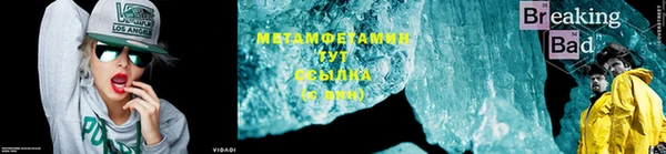 прущие грибы Каменка