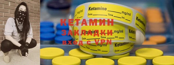 прущие грибы Каменка