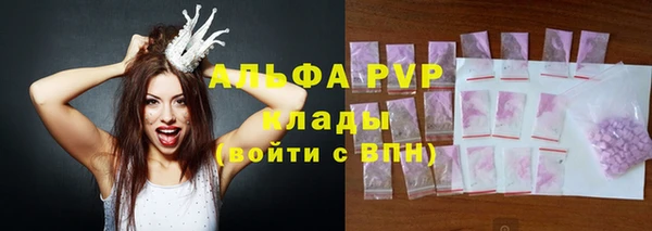 прущие грибы Каменка