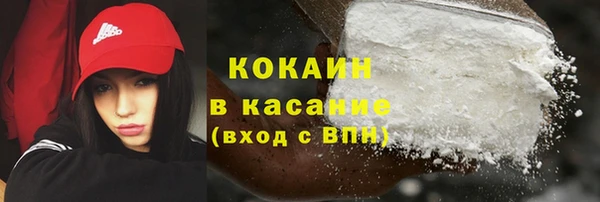 прущие грибы Каменка