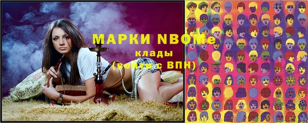 прущие грибы Каменка