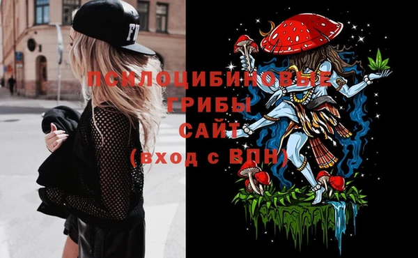 МДПВ Каменск-Шахтинский
