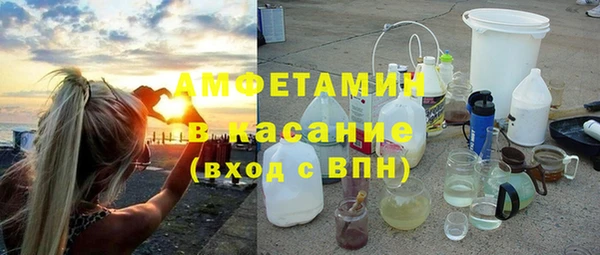 прущие грибы Каменка