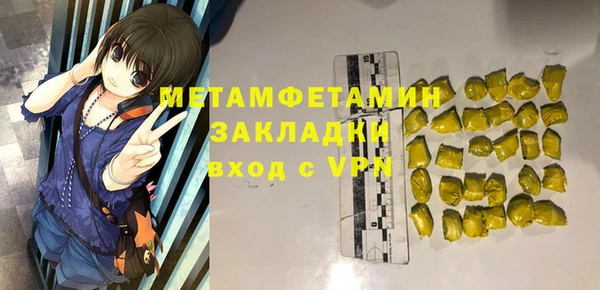 прущие грибы Каменка