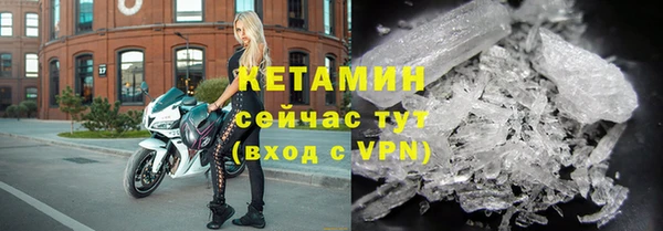 прущие грибы Каменка