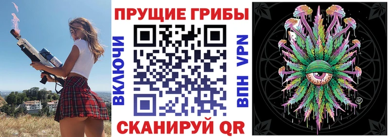 Купить  Арсеньев  Галлюциногенные грибы мицелий 